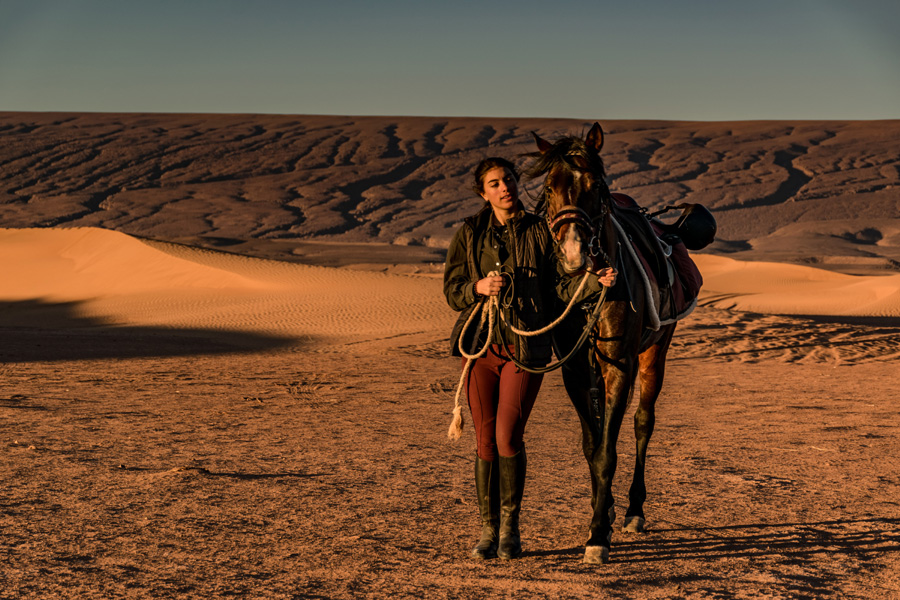 Horse Riding in the Desert